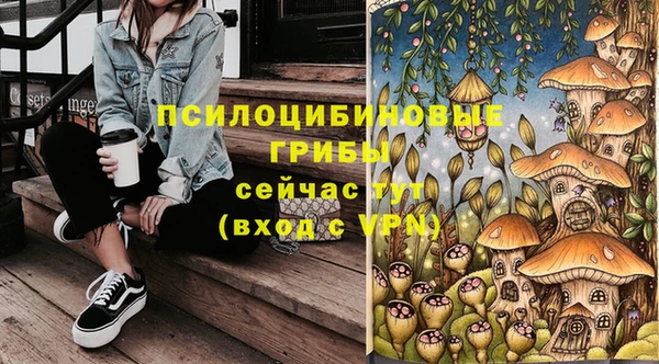 таблы Алексин