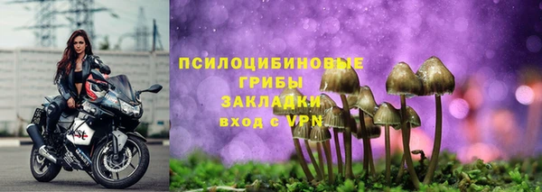 таблы Алексин