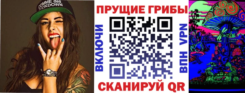 Псилоцибиновые грибы ЛСД  Чкаловск 